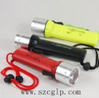 Cree Q5  Diving torches